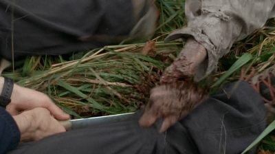 twd0513-1448.jpg