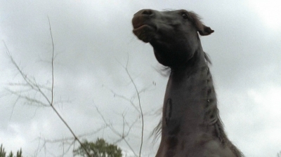 twd0513-1470.jpg