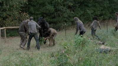 Click to view full size image
==============
twd0513-1474.jpg twd0513-1474.jpg