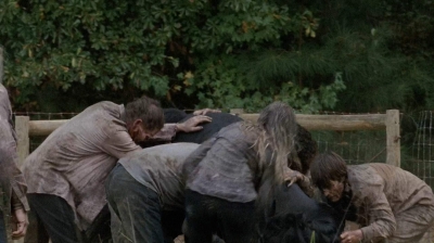 twd0513-1483.jpg