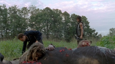 twd0513-1520.jpg