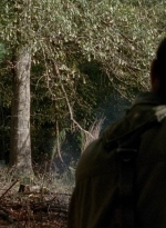 twd0513-0181.jpg