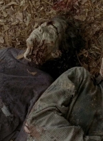 twd0513-0246.jpg