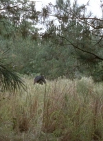 twd0513-0892.jpg