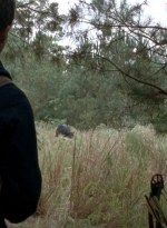 twd0513-0894.jpg