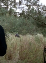 twd0513-0895.jpg