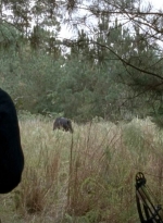 twd0513-0896.jpg