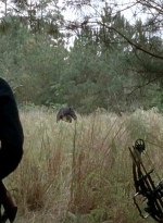 twd0513-0898.jpg