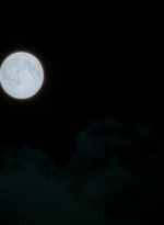 twd0513-1573.jpg