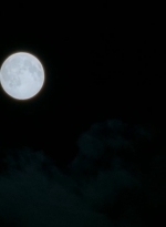 twd0513-1575.jpg