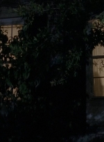 twd0513-1620.jpg