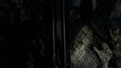 twd0514-1014.jpg