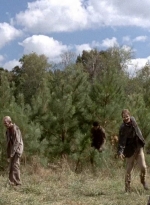 twd0514-1578.jpg