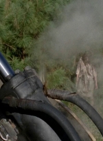 twd0514-1584.jpg