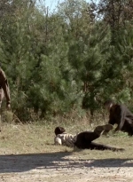 twd0514-1590.jpg