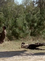 twd0514-1591.jpg