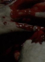 twd0514-2062.jpg