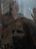 twd0514-2534.jpg