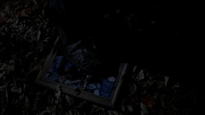 twd0515-0007.jpg