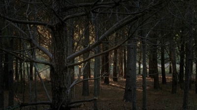 twd0515-1066.jpg