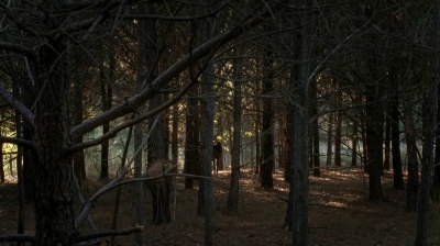 twd0515-1076.jpg