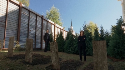 twd0515-1213.jpg