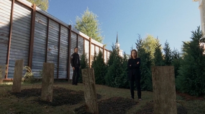 twd0515-1215.jpg