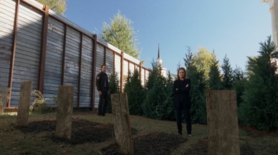 twd0515-1217.jpg