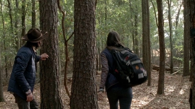 twd0515-1530.jpg