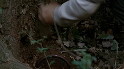 twd0515-1911.jpg