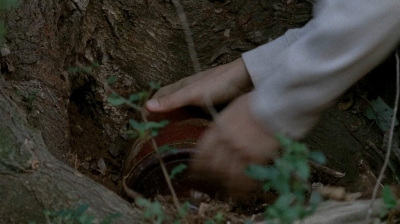 twd0515-1915.jpg