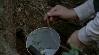 twd0515-1922.jpg