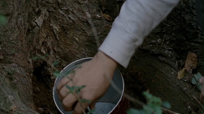 twd0515-1923.jpg