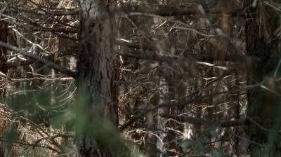 Click to view full size image
==============
twd0515-1963.jpg twd0515-1963.jpg