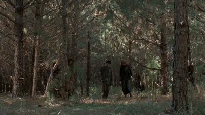 twd0515-1999.jpg