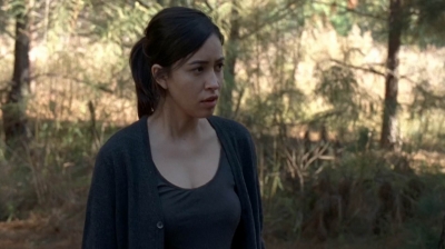 twd0515-2010.jpg