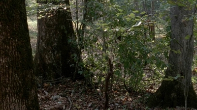 twd0515-2210.jpg
