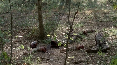 twd0515-2227.jpg
