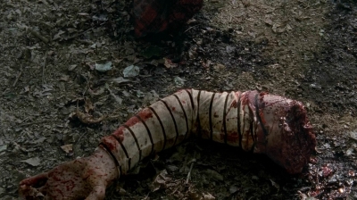 twd0515-2240.jpg