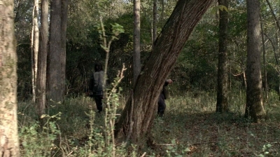 twd0515-2278.jpg
