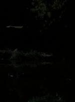 twd0515-0668.jpg