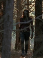 twd0515-1117.jpg