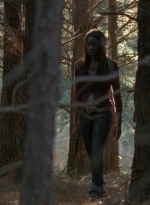 twd0515-1119.jpg