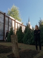 twd0515-1198.jpg