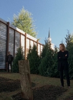 twd0515-1199.jpg