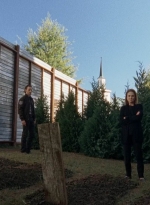 twd0515-1218.jpg