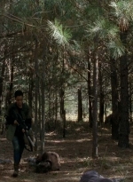 twd0515-1954.jpg