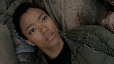 twd0516-1316.jpg