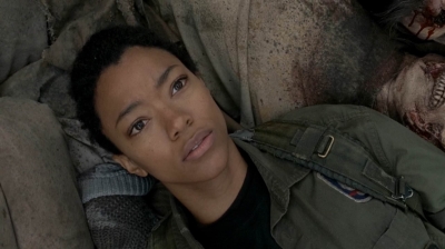 twd0516-1318.jpg