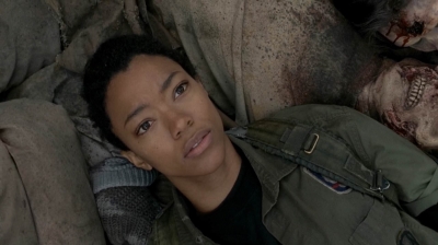 twd0516-1319.jpg